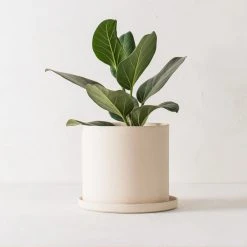 Convivial Minimal Stoneware Planter