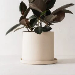 Convivial Minimal Stoneware Planter