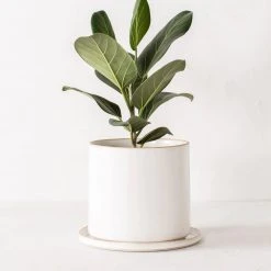 Convivial Minimal Stoneware Planter