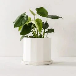 Convivial Riveted Porcelain Planter