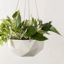 Convivial New Arrivals Geometric Porcelain Hanging Planter