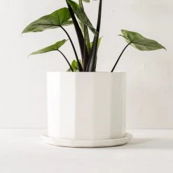 Convivial Riveted Porcelain Planter