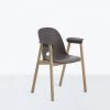 Emeco Alfi Recycled Armchair - Ash 1 Emeco Alfi Recycled Armchair - Ash