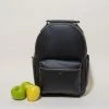 Allégorie Gala Apple Leather Backpack Accessories