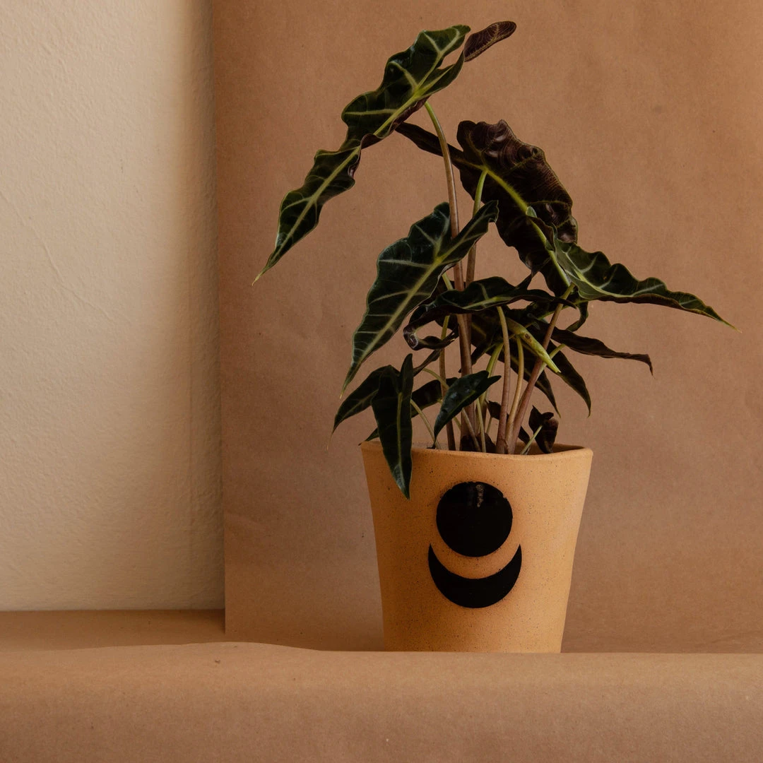 Anne Gates Studio Moon Ceramic Planter 3 Anne Gates Studio Moon Ceramic Planter