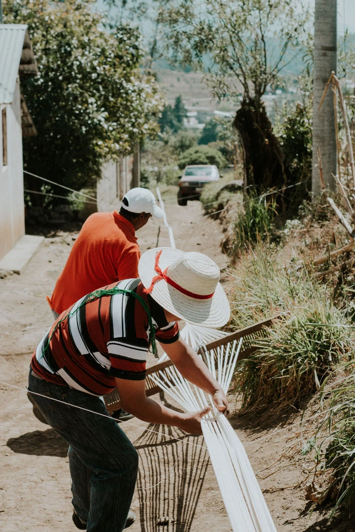 Archive New York Manuela Jaspé Gray Rainbow Throw Pillow Home Goods 10 Archive New York Manuela Jaspé Gray Rainbow Throw Pillow Home Goods