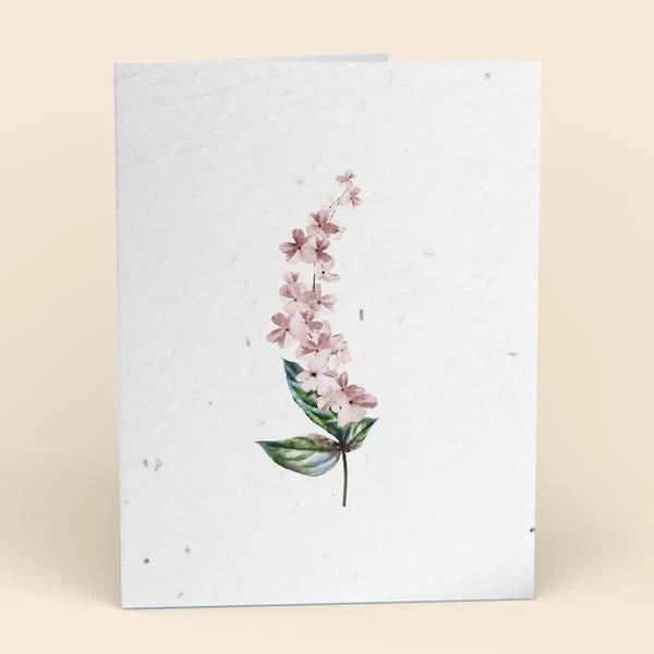 Cute Root Greeting Cards Assorted Botanical Plantable Cards - 8 Pack 5 Cute Root Greeting Cards Assorted Botanical Plantable Cards - 8 Pack
