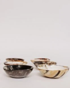 August Sage Best Sellers Ankole Horn Bowl - Light