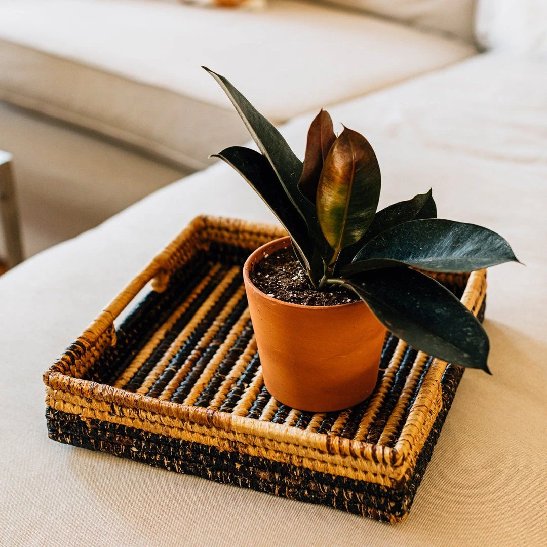 Azizi Life Parker Banana Leaf Trays 11 Azizi Life Parker Banana Leaf Trays