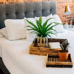 Azizi Life Parker Banana Leaf Trays 21 Azizi Life Parker Banana Leaf Trays