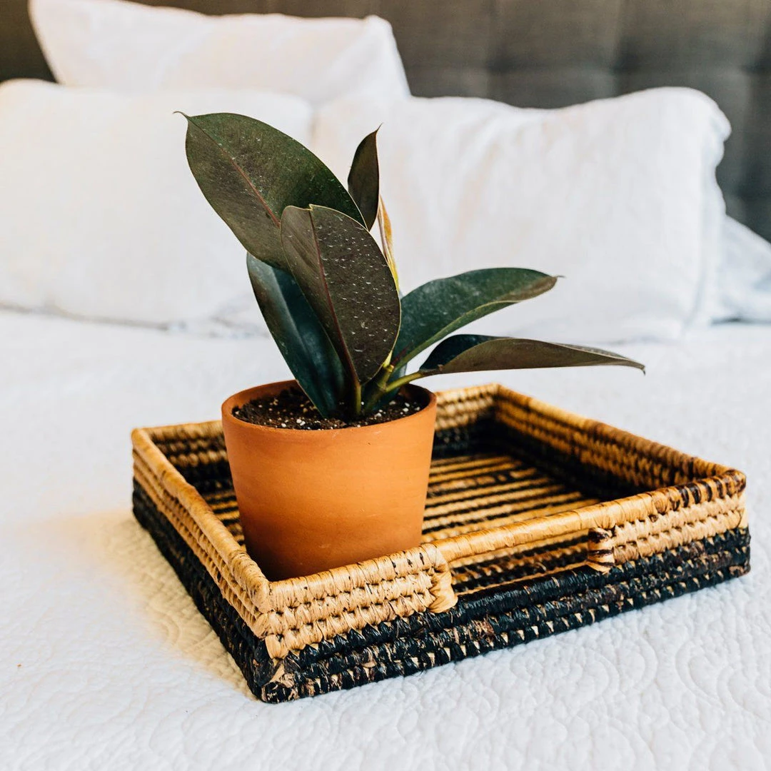 Azizi Life Parker Banana Leaf Trays 12 Azizi Life Parker Banana Leaf Trays