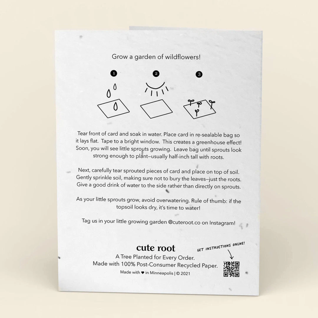 Cute Root Beloved Dove Plantable Hanukkah Cards - 10 Pack 4 Cute Root Beloved Dove Plantable Hanukkah Cards - 10 Pack