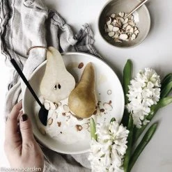 Carthage.Co La Marsa Stoneware Salad Plate Set Best Sellers