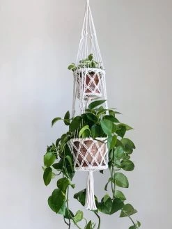 Ceremonia Best Sellers Double Basket Plant Hanger - Cream