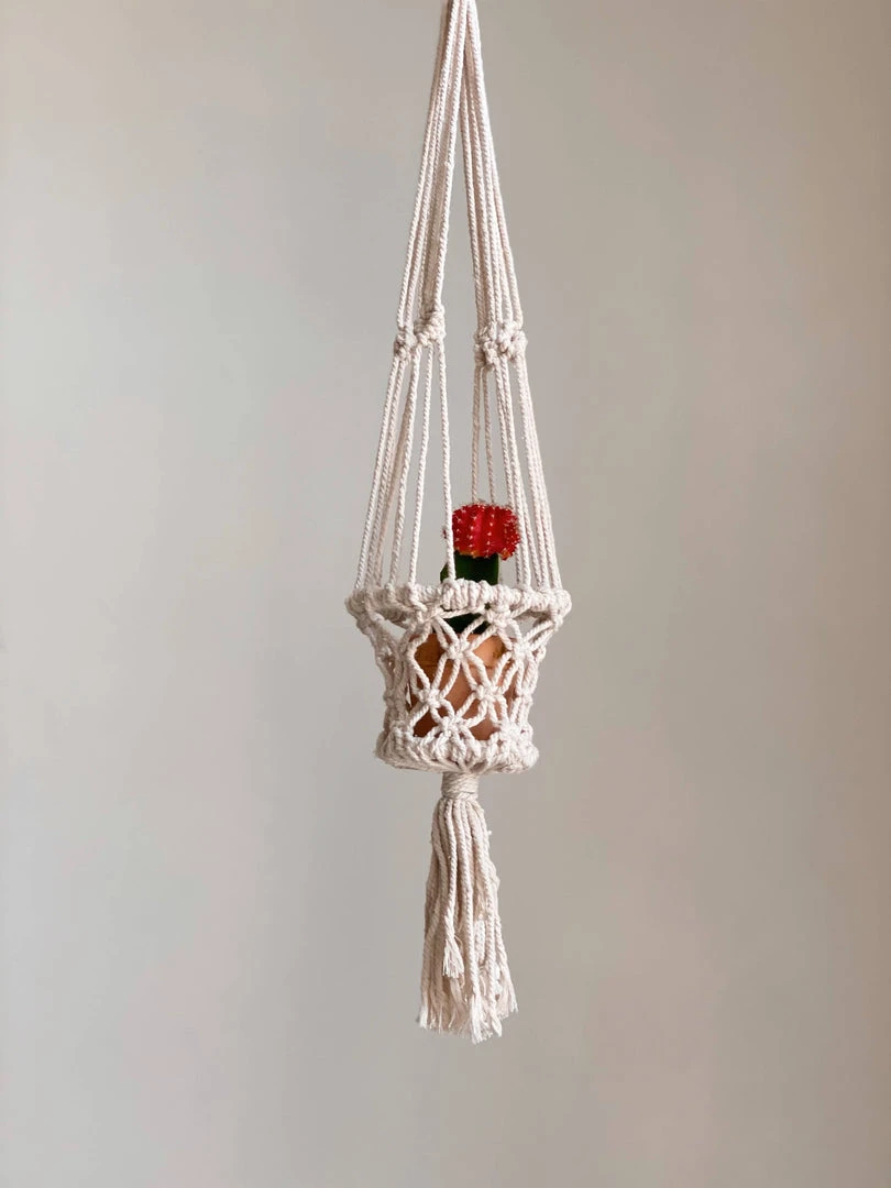 Ceremonia Best Sellers Plant Hanger Basket - Cream 6 Ceremonia Best Sellers Plant Hanger Basket - Cream