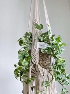 Ceremonia Large Darling Macramé Plant Hanger Best Sellers