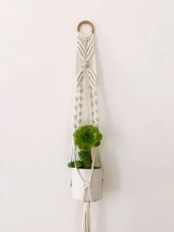 Ceremonia Best Sellers Small Macramé Plant Hanger