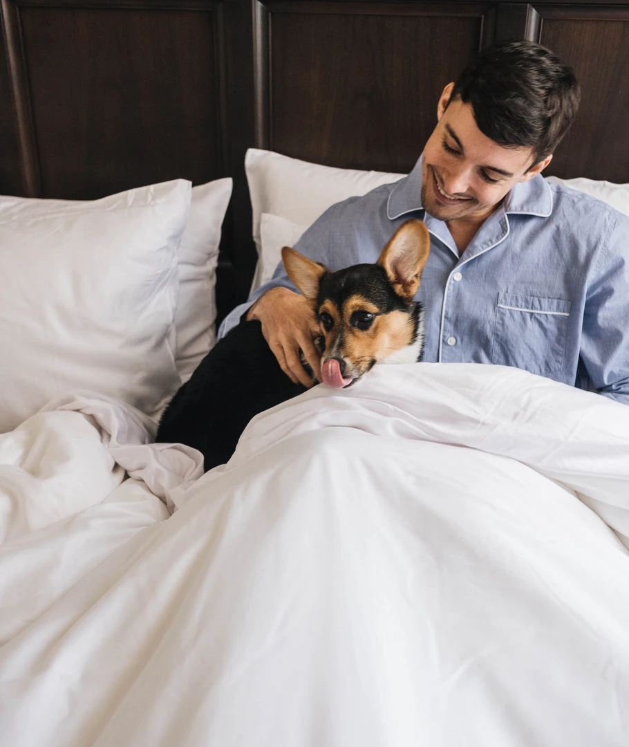 Eucalypso Classic Tencel Eucalyptus Sheet Set 12 Eucalypso Classic Tencel Eucalyptus Sheet Set