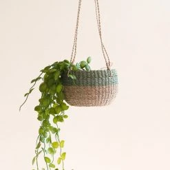 LIKHÂ Colorblock Hanging Planter Basket Home Goods