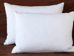 Coyuchi Feather/Down Pillow