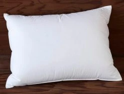 Coyuchi Feather/Down Pillow
