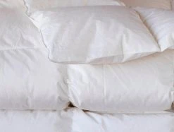 Coyuchi Three Season Down Duvet Insert Comforter Best Sellers