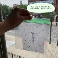 Cute Root Happy Hanukkah Plantable Watercolor Cards - 10 Pack Made In USA 11 Cute Root Happy Hanukkah Plantable Watercolor Cards - 10 Pack Made In USA