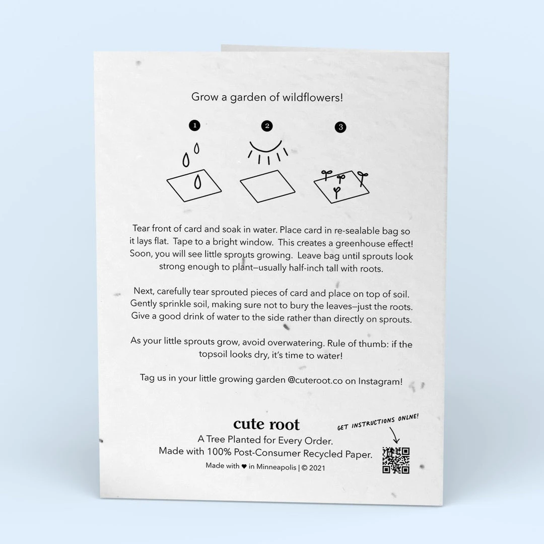 Cute Root Greeting Cards Sarcastic Cat Plantable Cards - 10 Pack 11 Cute Root Greeting Cards Sarcastic Cat Plantable Cards - 10 Pack