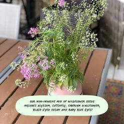 Cute Root You're So Deer To Me Plantable Cards - 10 Pack Greeting Cards 15 Cute Root You're So Deer To Me Plantable Cards - 10 Pack Greeting Cards