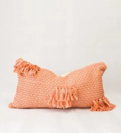 Zuahaza Home Goods Diamond Guayaba Lumbar Pillow Cover With Tassels