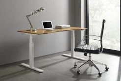 Greenington Desks Ascent Hi-Low Standing Desk