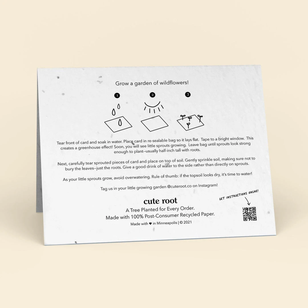 Cute Root Happ-Bee Valentine's Day Plantable Cards - 10 Pack Made In USA 4 Cute Root Happ-Bee Valentine's Day Plantable Cards - 10 Pack Made In USA