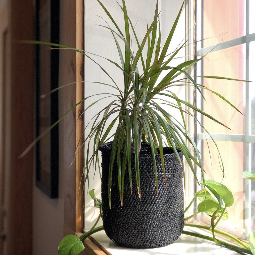 Mbare Best Sellers Iringa Baskets - Rich Black 4 Mbare Best Sellers Iringa Baskets - Rich Black