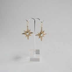 Iron Oxide Polaris Single-Star Earrings
