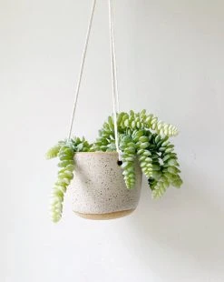 Katie Mudd Best Sellers Hanging Stoneware Planter - White