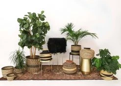 KAZI Extra Large Checkered Black Grass Planter Home Goods 6 KAZI Extra Large Checkered Black Grass Planter Home Goods