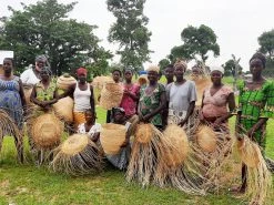 KAZI Home Goods All Natural Camel Hump Birdhouse 7 KAZI Home Goods All Natural Camel Hump Birdhouse