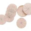KAZI Beaded Soft Pink + Pearl Coasters