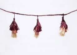 KAZI Berry Ombre Tasseled Garland Home Goods