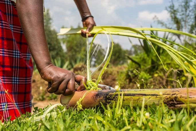 KAZI Small Black Fringed Catch All Home Goods 10 KAZI Small Black Fringed Catch All Home Goods