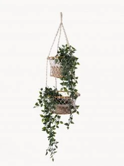 Korissa Jhuri Double Hanging Basket
