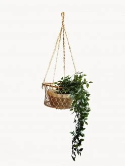 Korissa Home Goods Jhuri Single Hanging Basket