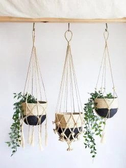 Korissa Bitan Plant Hanger Set Staff Favorites