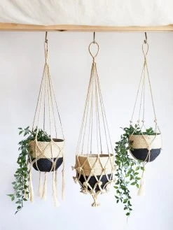 Korissa Shuly Plant Hanger