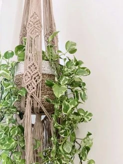 Ceremonia Large Darling Macramé Plant Hanger Best Sellers