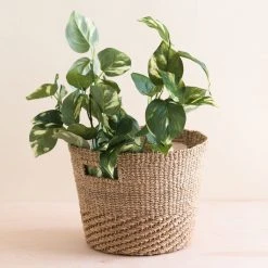 LIKHÂ Home Goods Tan + Natural Tapered Basket