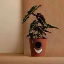 Anne Gates Studio Moon Ceramic Planter 7 Anne Gates Studio Moon Ceramic Planter