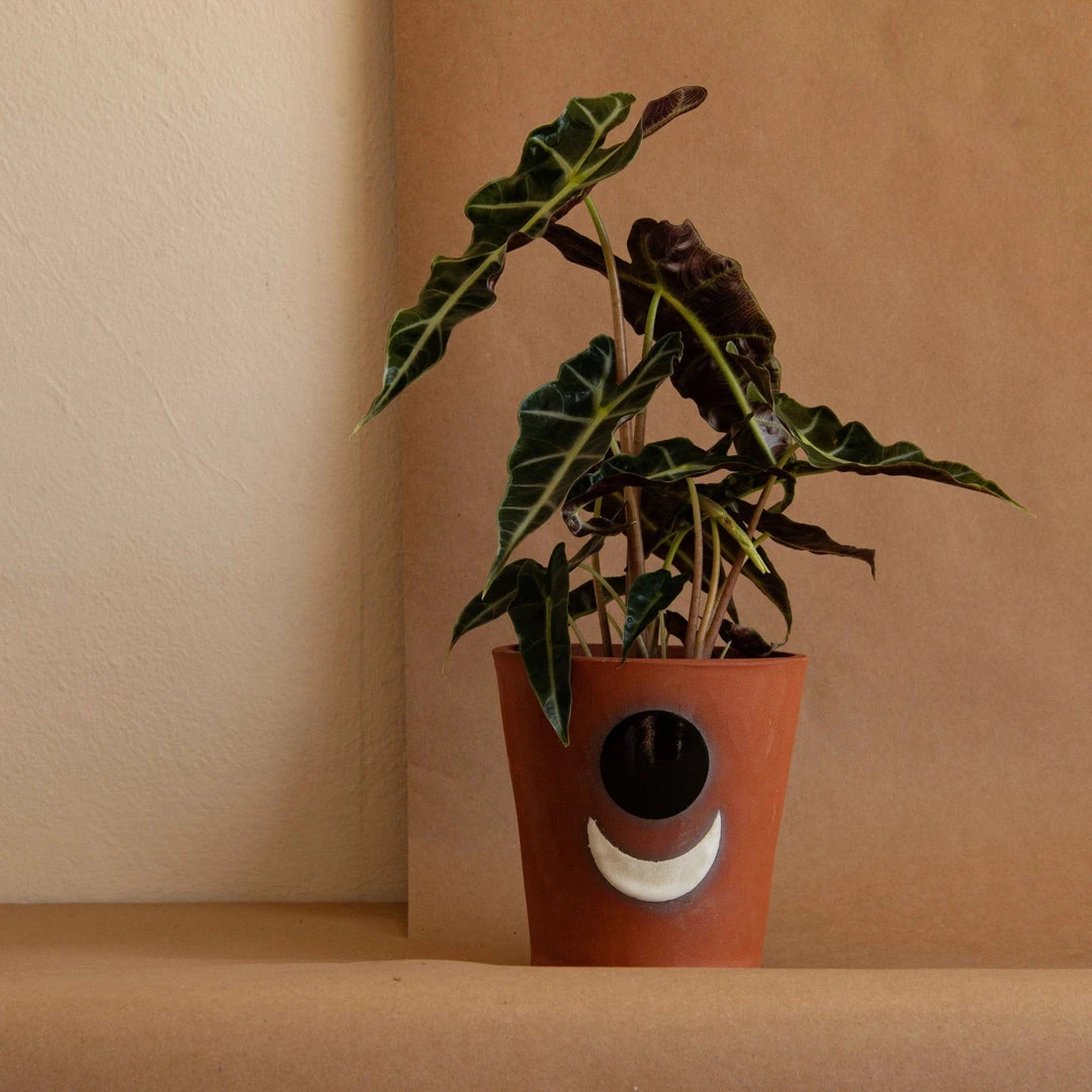 Anne Gates Studio Moon Ceramic Planter 5 Anne Gates Studio Moon Ceramic Planter