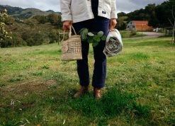 Caminito Accessories Palma Mini Canasta Bag