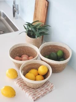 Korissa Savar Plant Bowl Set Home Goods